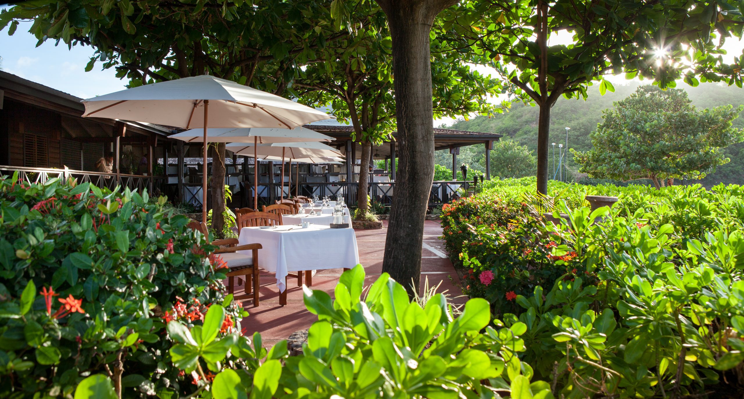 Restaurant-Terrace-Dining-Hermitage-Bay-scaled