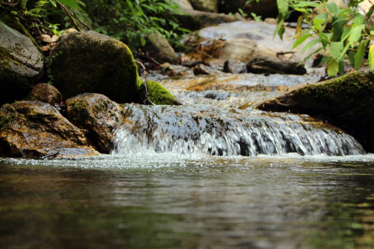 https://westchestertravel.com/wp-content/uploads/2024/09/Bishnumati_river-1.jpg