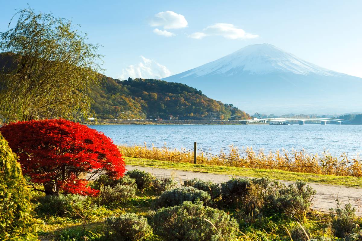 https://westchestertravel.com/wp-content/uploads/2024/09/mountain-fuji-in-autumn-2023-11-27-04-52-12-utc-1-1.jpg